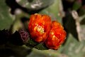 2012-05-16-28-Parc Guell-1209-Barcelona-web